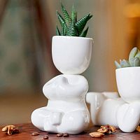 набор для выращивания eco йог в Тамбове