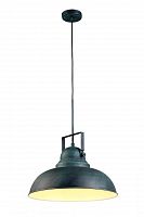 подвесной светильник arte lamp martin a5213sp-1bg в Тамбове