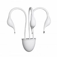 бра lightstar cigno collo wt 751636 в Тамбове