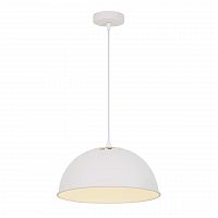 подвесной светильник arte lamp buratto a8173sp-1wh в Тамбове