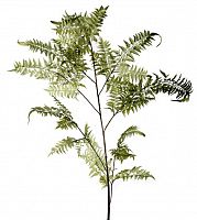 декор fl12056 (giant fern) в Тамбове