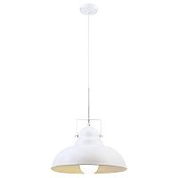 подвесной светильник arte lamp martin a5213sp-1wg в Тамбове