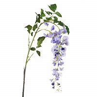 глициния сиреневая 142 см (18) в Тамбове