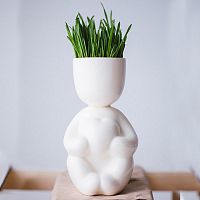 набор для выращивания eco романтик в Тамбове