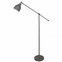 торшер arte lamp braccio a2054pn-1gy в Тамбове