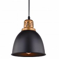 подвесной светильник arte lamp eurica a4245sp-1bk в Тамбове