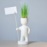 набор для выращивания eco знаменосец в Тамбове