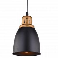 подвесной светильник arte lamp eurica a4248sp-1bk в Тамбове