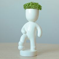 набор для выращивания eco футболист в Тамбове