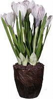декор fl12026 (crocus) в Тамбове