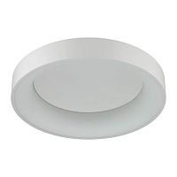 потолочный светодиодный светильник odeon light sole 4062/50cl в Тамбове