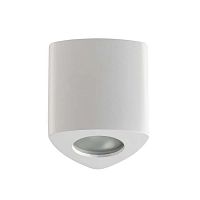 потолочный светильник odeon light aquana 3574/1c в Тамбове